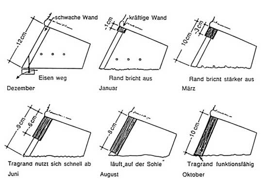 Hornwanderneuerung whrend der Umstellung