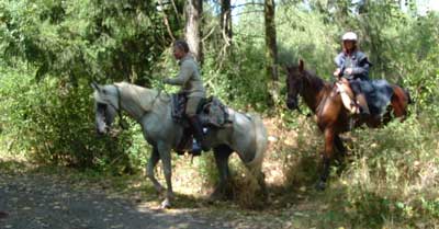 Barhufpferde auf dem Distanzritt